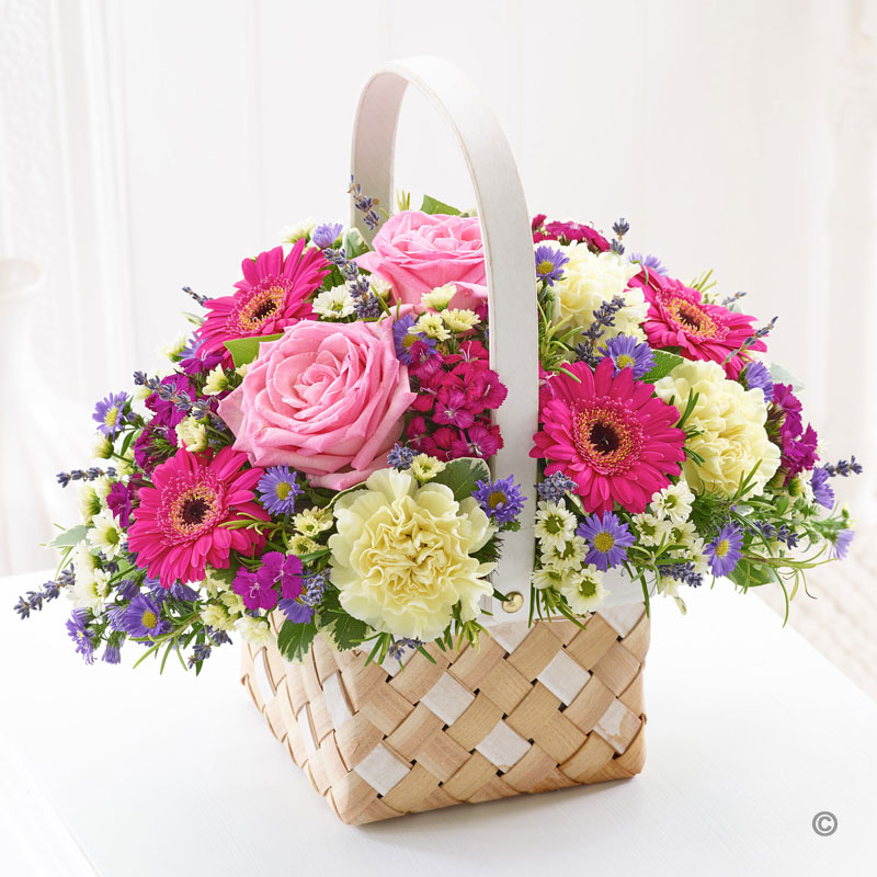 Summer Basket Plus - Sweeneys Florist